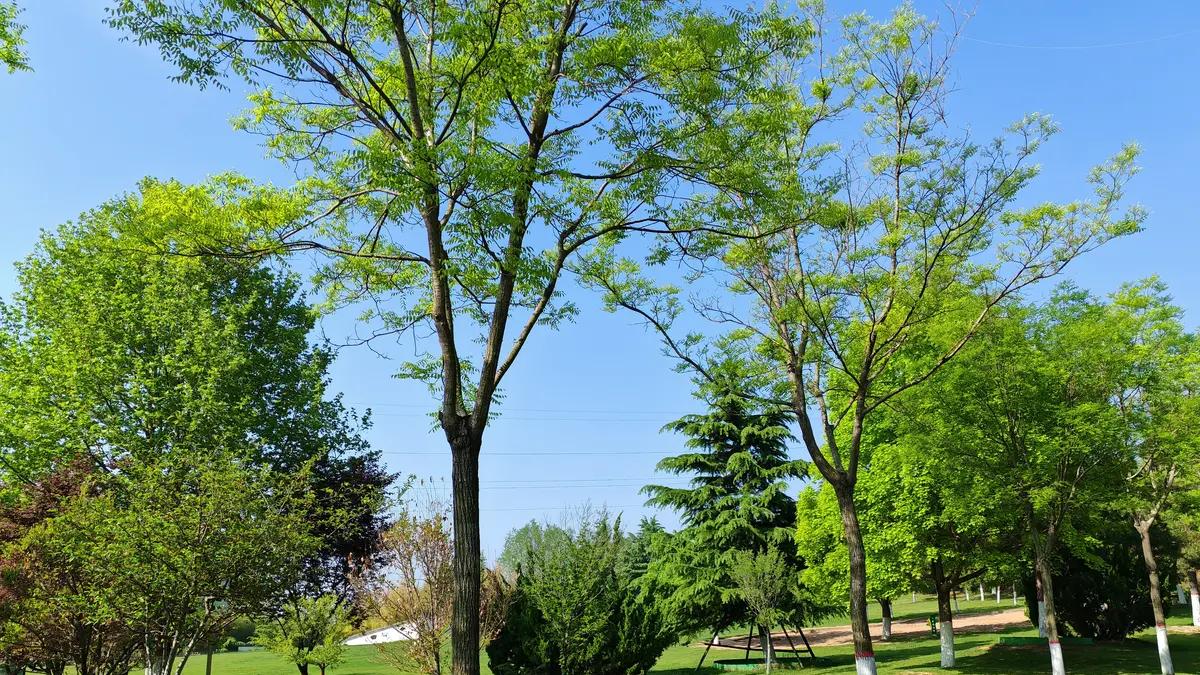 能力有限，努力无限