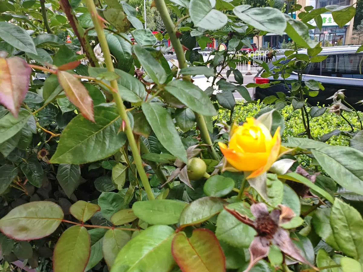 山高自有风景在，心宽方能百事欢