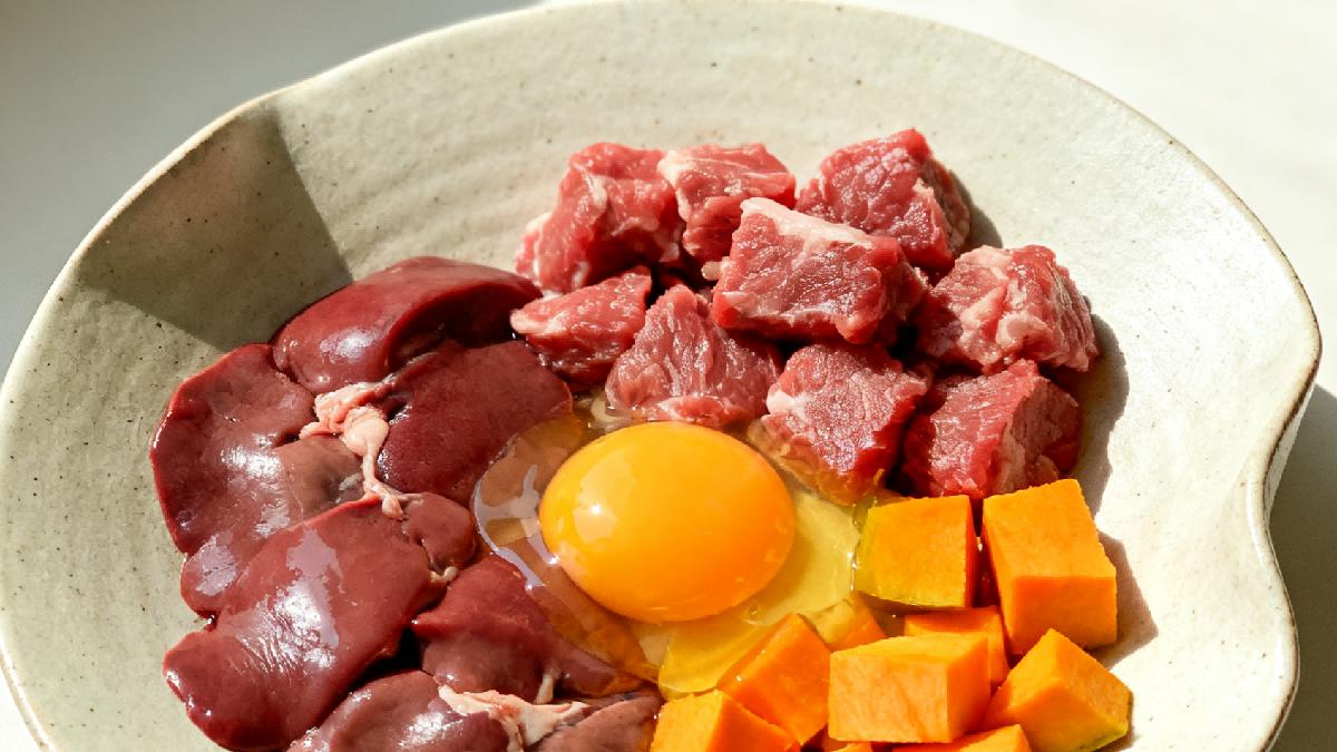 自制猫饭为什么不能随便做？一份自制猫饭制作方法配方大全说明白