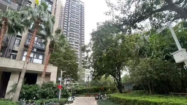 星河时代花园双拼房，可双证合一，仅需一个名额！