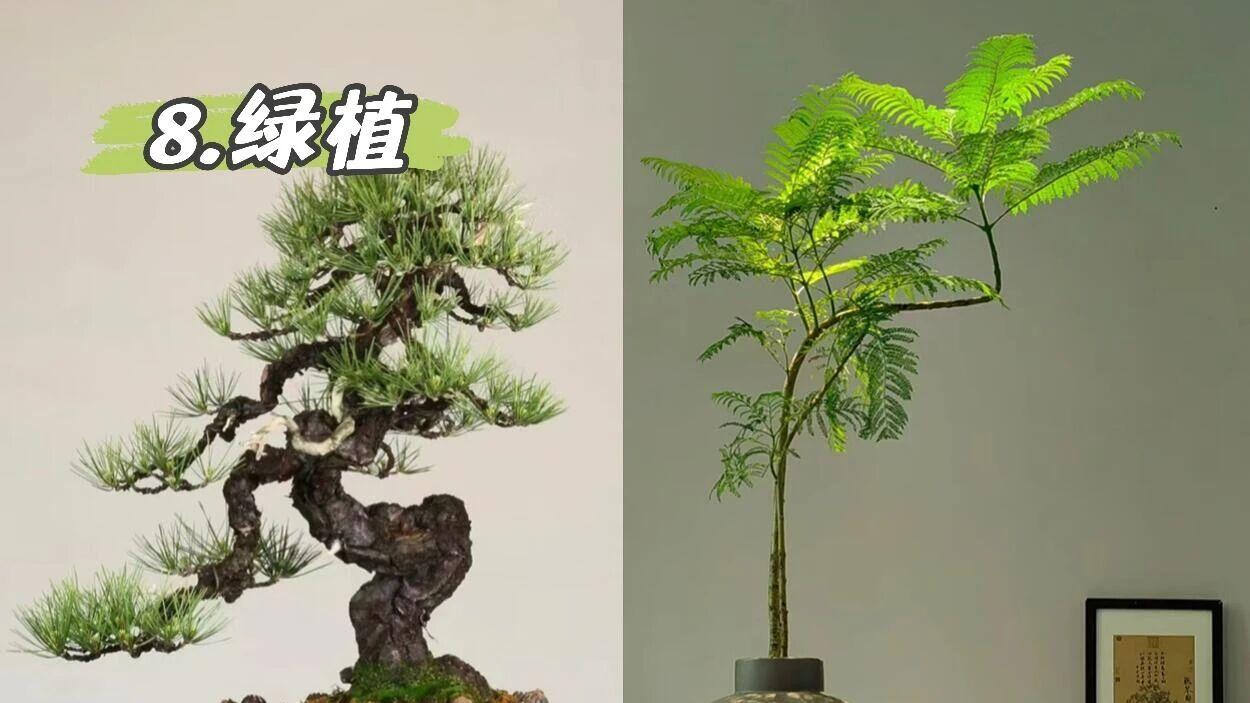 适合年轻人居住的中式风格 妥妥中国风顶流