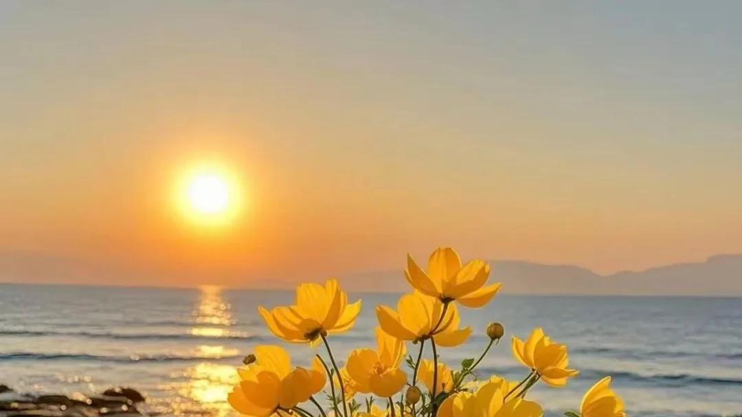 玄中易国|悟透 “向阳而生”，人生自会顺遂无忧