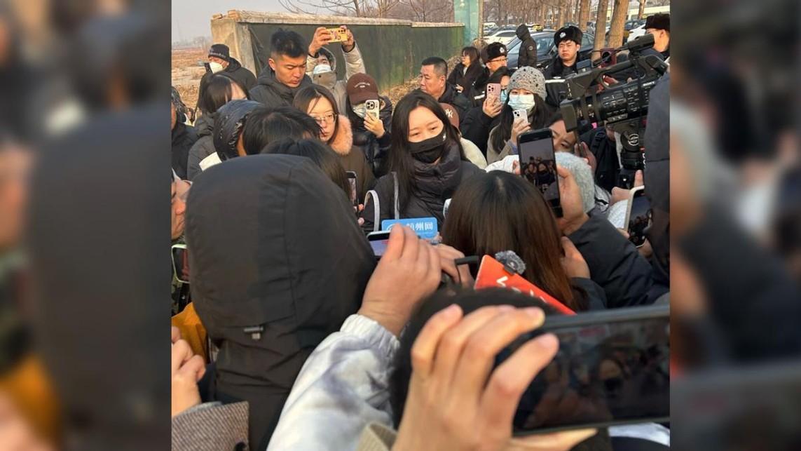 数百万人呼吁《反虐待动物法》出台，律师解读：时机未到