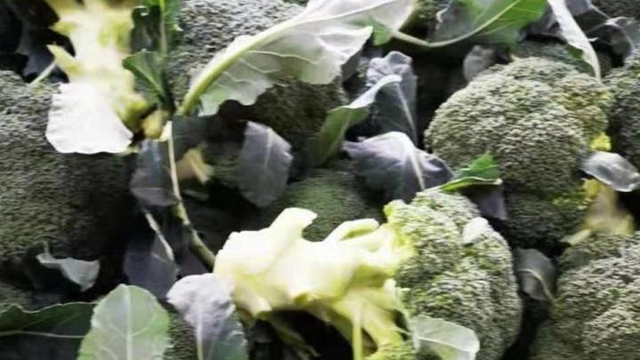 西兰花物流包装优化，抗震设计提升运输效率，降低农作物损耗
