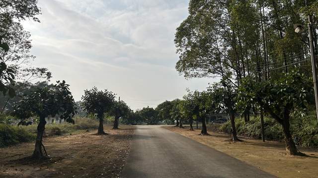 实验猴价格暴涨，有猴场明年的猴都被订光，不是价格问题无猴可买