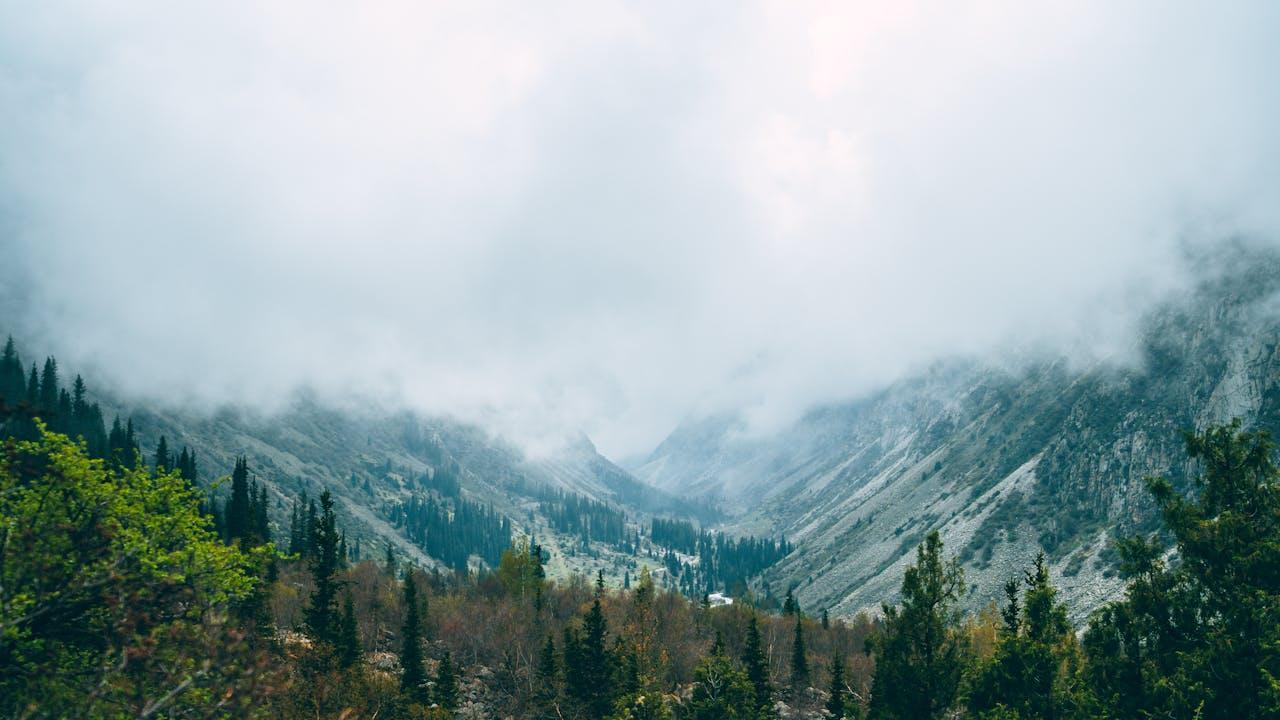 在活着与生活之间的缝隙里