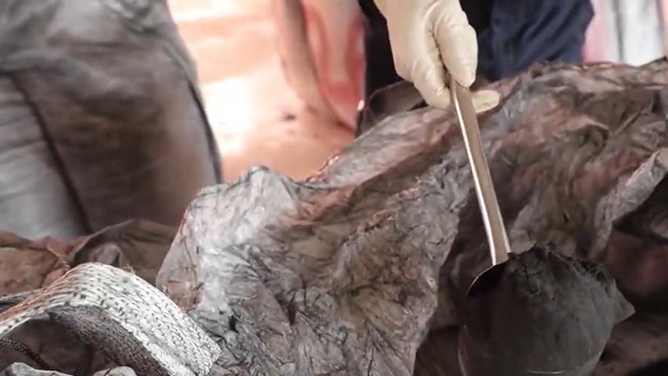 海关律师、走私辩护律师邵丹：广州查获走私洋垃圾