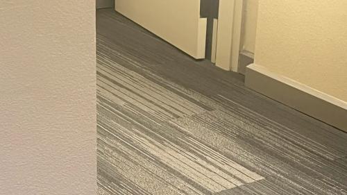 猫咪用头蹭家具，原来这是专属的气味标记行为