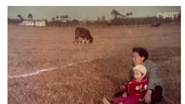 刘恋深情追忆96岁祖母：在记忆的褶皱里，寻找一个女人的完整一生