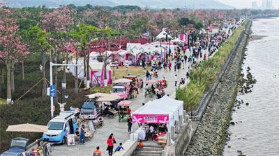 琴澳周末顶流来袭！“粤澳共此时” 花海欢乐季 11.15 启幕