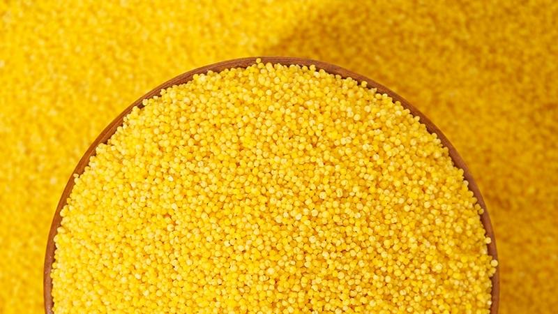 守护粮食安全——小米检测