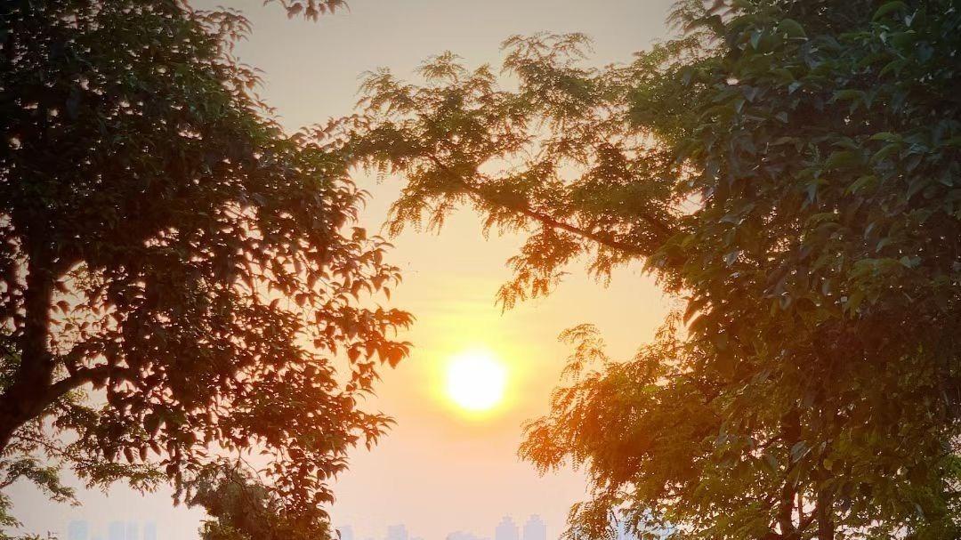 武汉新增4家国家4A级旅游景区 推动全域旅游体验迭代升级