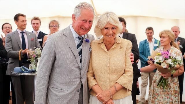 查尔斯国王突发状况，灵媒预言或难成真，卡米拉风光看威廉