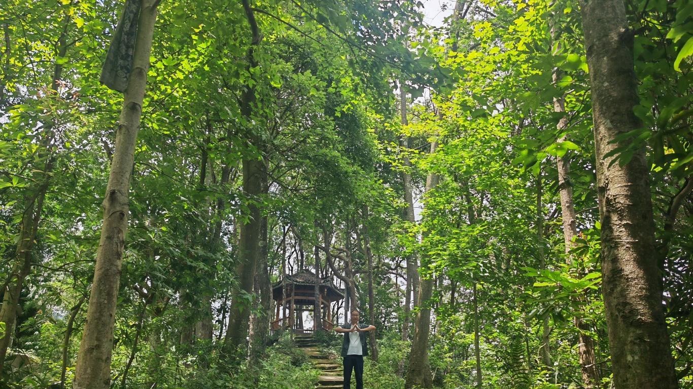 终于悟了！交易这玩意儿，拼的根本不是技术，是气质