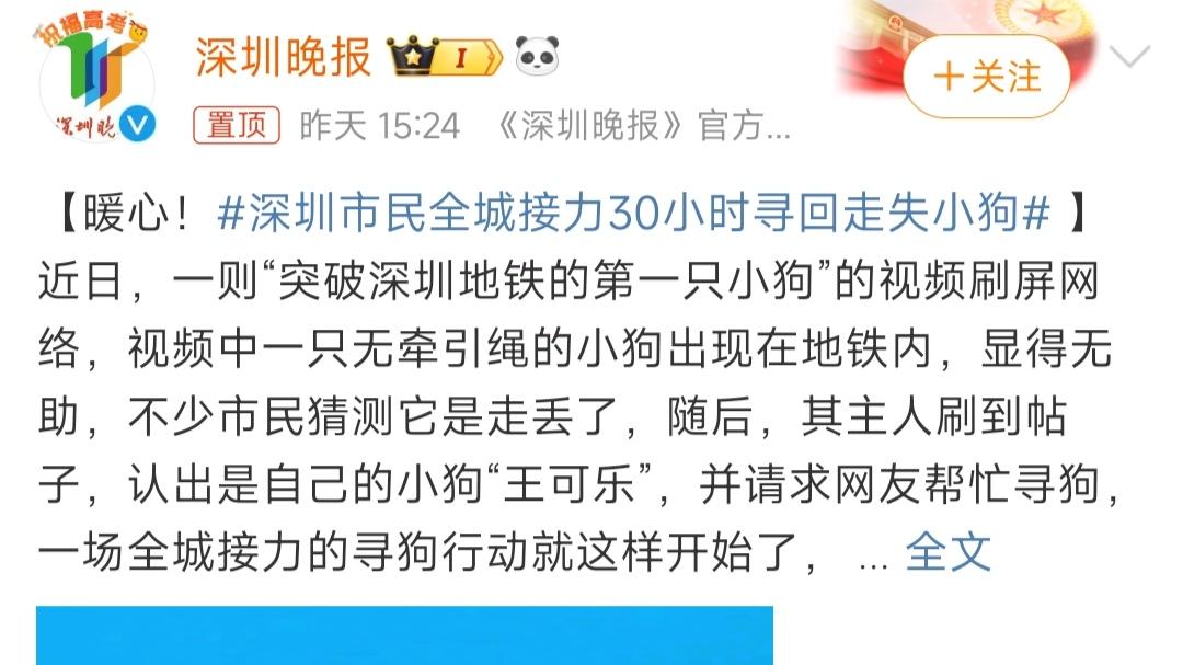 深圳市民全城接力30小时找回走失小狗，这一点也不暖心，还是太闲了