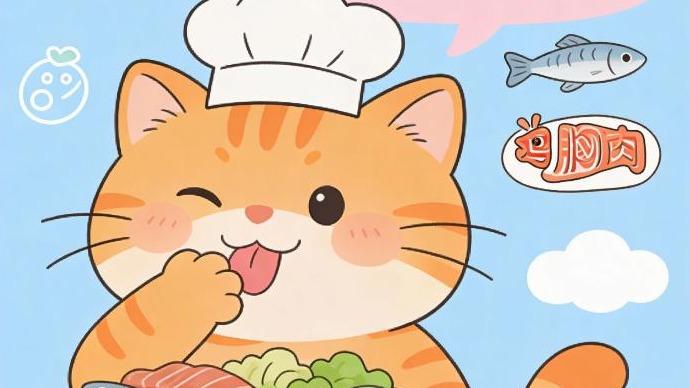 猫咪必需的5大营养要素，选猫粮要知道