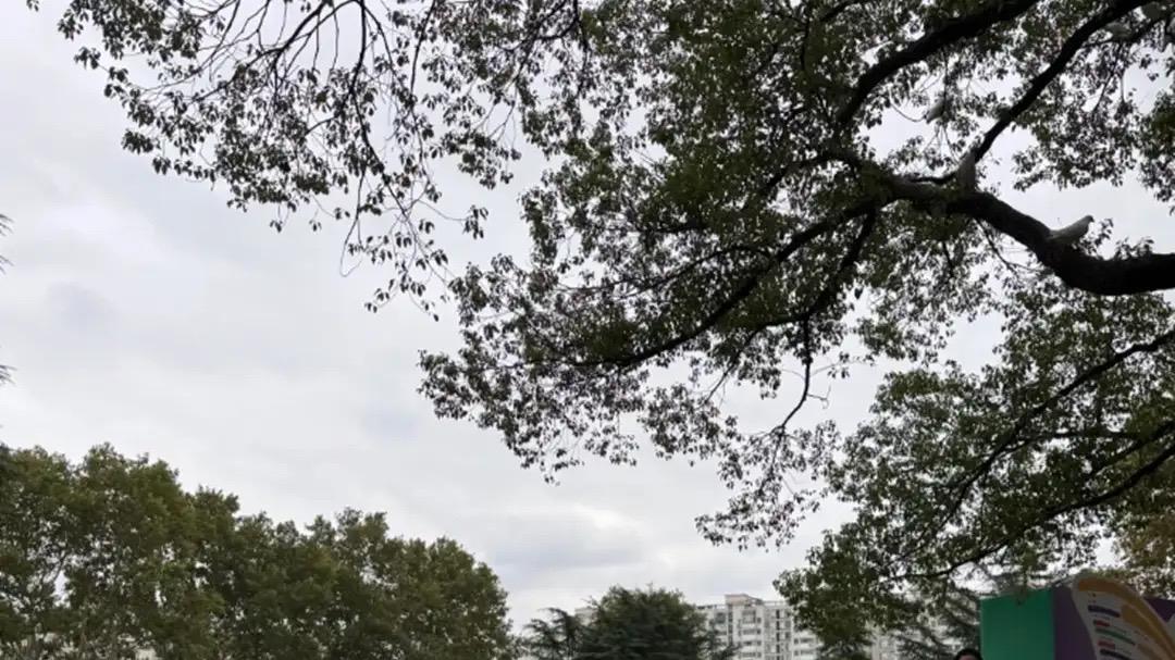 雎晓雯夫妇带娃玩耍，腿比2岁女儿身体还长，小水草也是超模脸