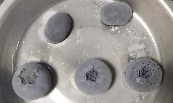 真空冷冻干燥技术在水果冻干中的应用