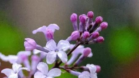 婆婆身患重病，我辞职照顾她十年，她离世后，我整理遗物发现一本日记，打开后我流泪不止