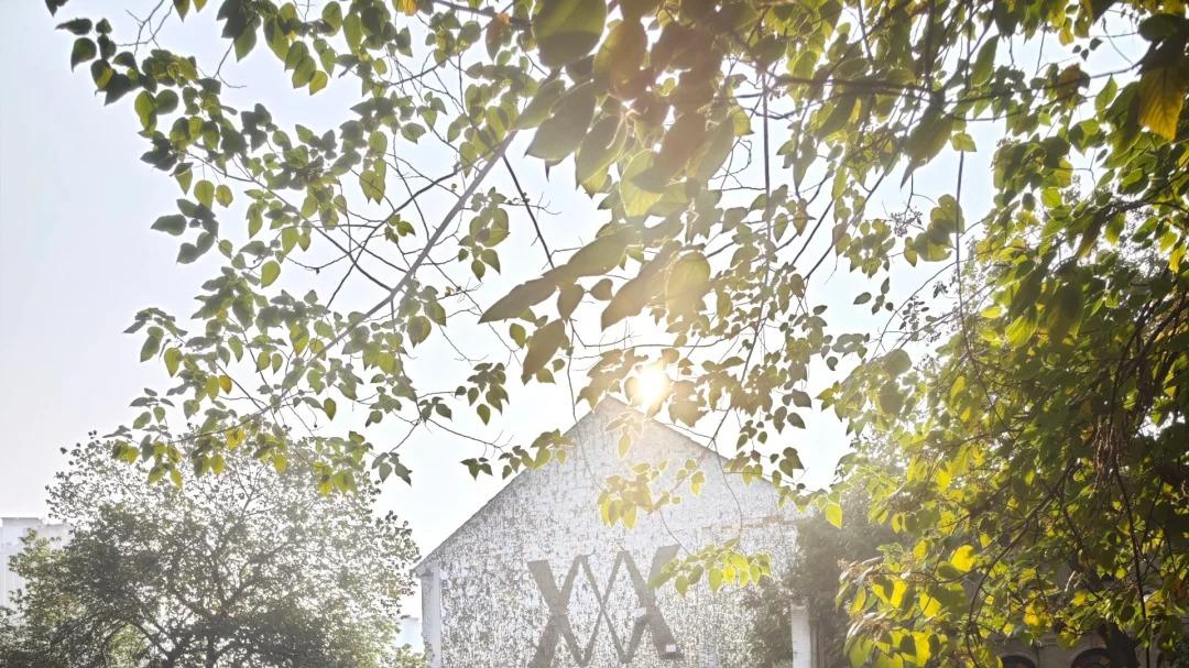 打卡七星岗丨24小时暴走重庆"时光折叠器"✨