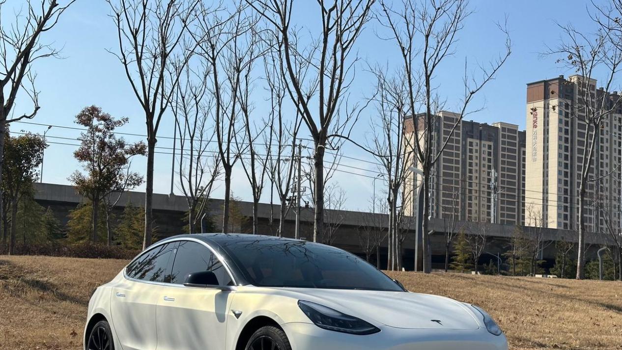 11万预算圆你特斯拉梦！2020款Model3标准续航版体验如何？