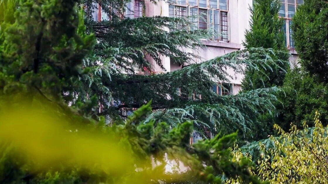 武汉理工大学怎么样？教师水平高，一流专业随便选！