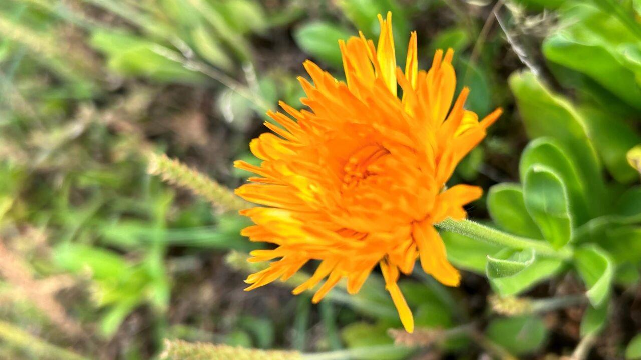 男人背叛，选择隐忍的妻子，将面临以下3种问题