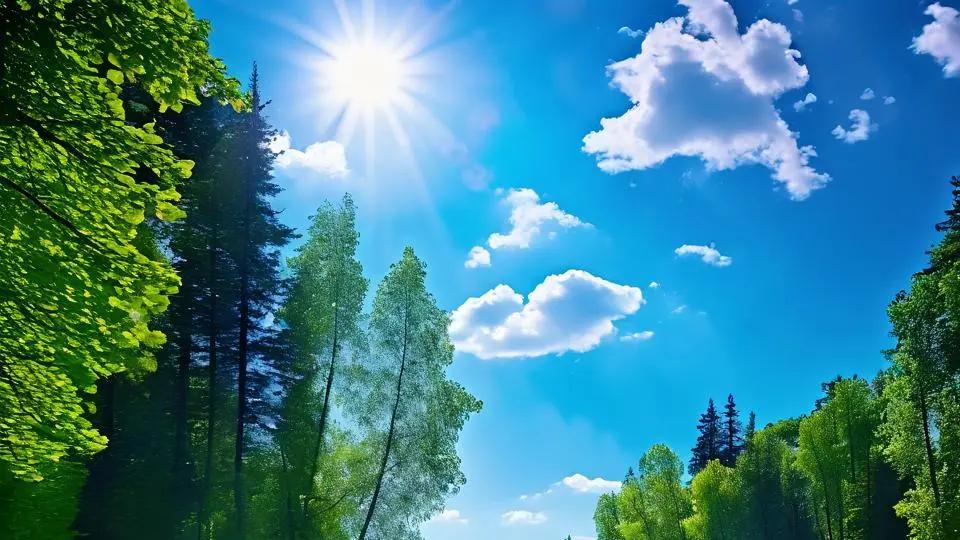 左宗棠临死前说：10个法国将军，比不上1个李鸿章坏