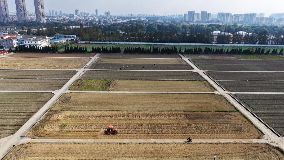 未来五年，农村发展面临新机遇，农民们一定要了解！
