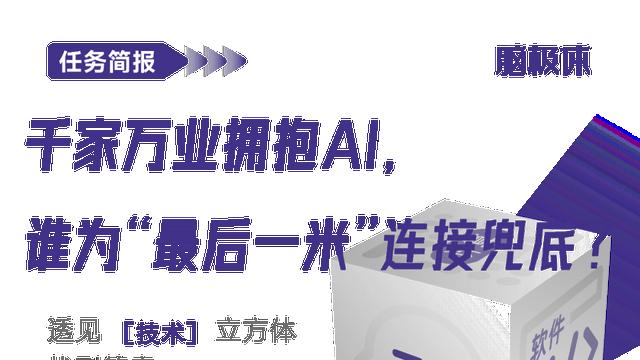 千家万业拥抱AI，谁为“最后一米”连接兜底？