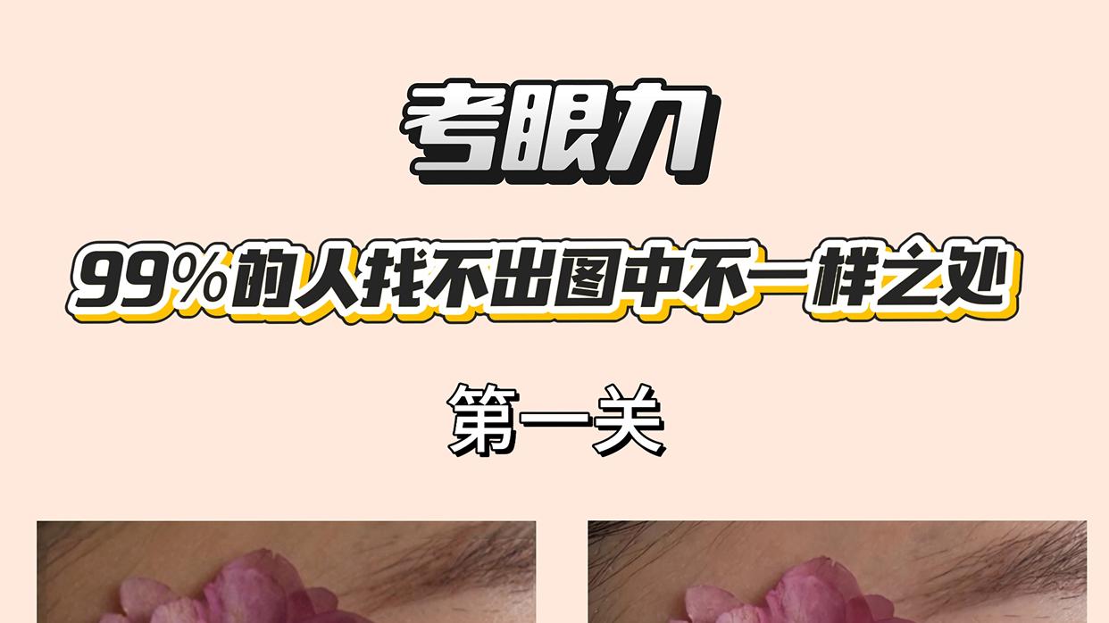 难度升级！找不同，你能看出差别吗？