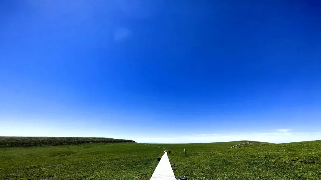 霍州有座“太岳绿肺”｜七里峪国家森林公园旅游攻略：20℃夏日的“天然氧吧”，解锁原始森林的“野趣与治