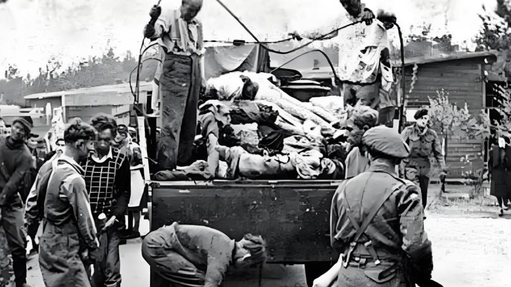 14万华人去欧洲打工，留下30万混血后代，如今为什么还不回国？