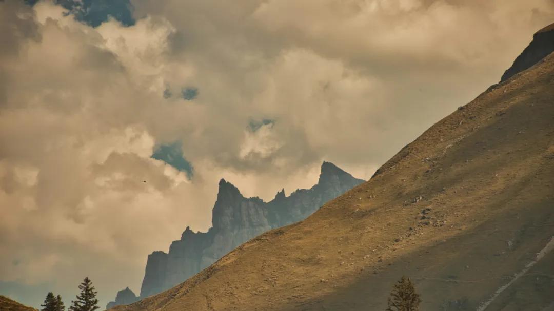 跟自己和解，才能有新的开始