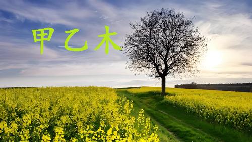 日干甲乙木，2025乙巳年，冬月“戊子月 ”财运