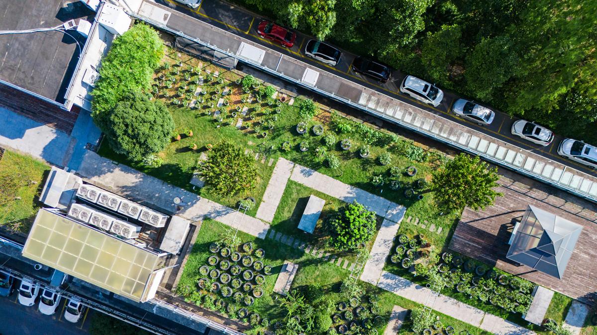 正定古城：方寸之间见天地口袋公园里的幸福密码