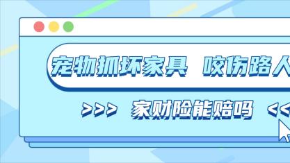 养宠家庭注意！宠物抓坏邻居家具、咬伤路人，家财险能赔吗？