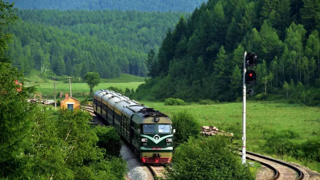 过村列车，已造成17人被撞身亡！到底是什么原因导致悲剧？