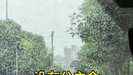 如何评价“女司机不想接女乘客”？