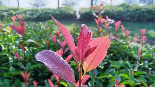 高三了，家长别慌松弛点，说点积极鼓励的话，孩子内心才更有力量