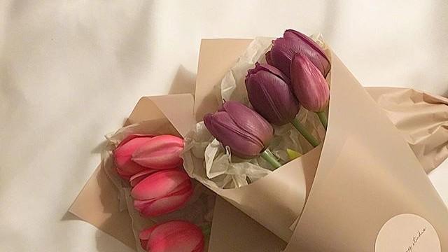 2025西方鬼节的祝福语，句句经典暖心，万圣节快乐！