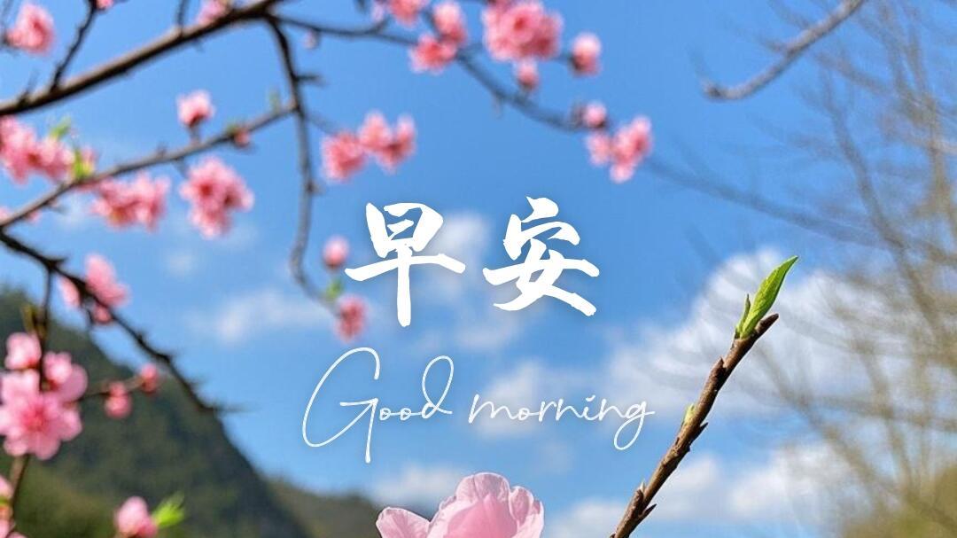 踏入三月春天，让励志语句点燃奋斗激情，感受治愈暖意拥抱生活