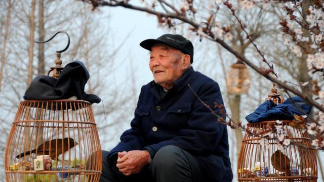 78岁大爷：老人想找住家保姆来照顾固然可行，但聘用时要注意5点