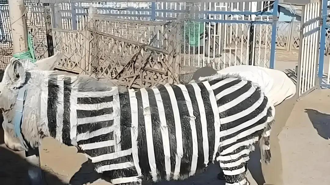 动物园竟给驴涂上油漆，当成斑马展出？？？