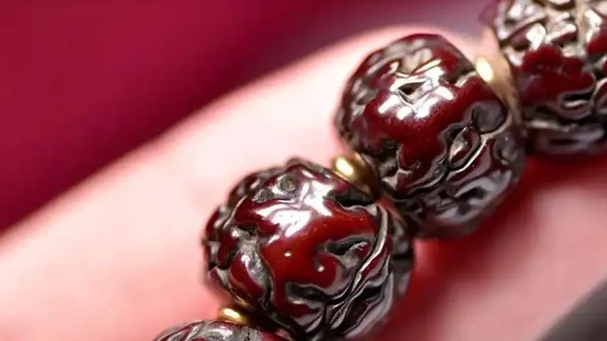 金刚菩提为什么这样迷人？这7点原因揭秘，你终究无法逃脱它的魅力！