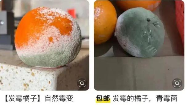 599 元一个发霉橘子？二手平台天价交易背后的荒诞与隐忧
