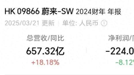 新势力2024: 有人大亏, 有人大赚！蔚来巨亏224亿, 理想大赚80亿…