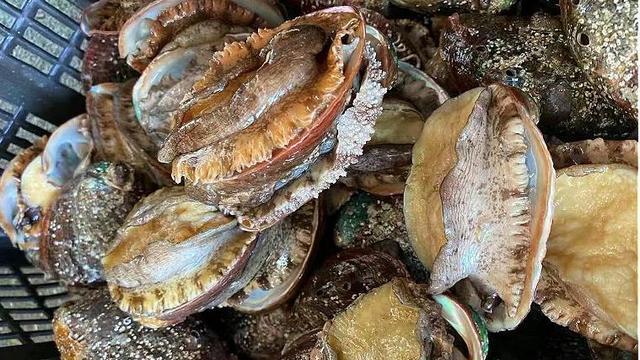 冬天吃鱼，懂行人专挑4种鱼，刺少肉嫩，蛋白质丰富