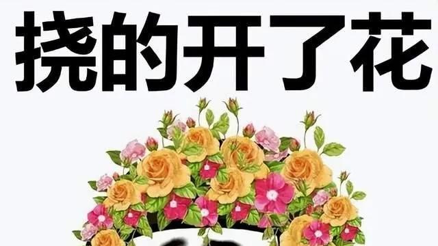 幽默笑话段子，个个搞笑十足，太快乐了！