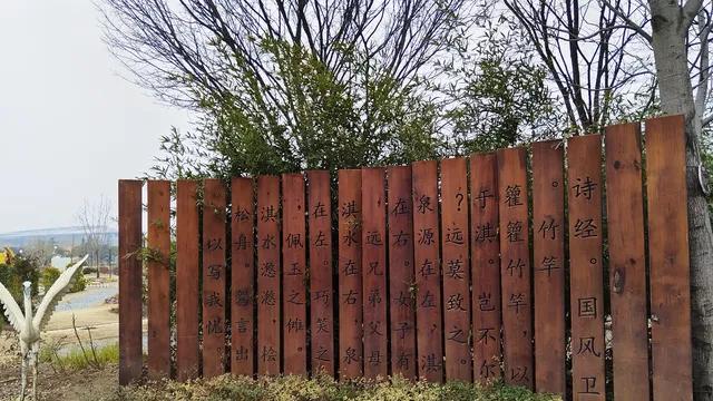 自大又自卑的孩子，父母要从接纳和理解中来帮助孩子走出厌学